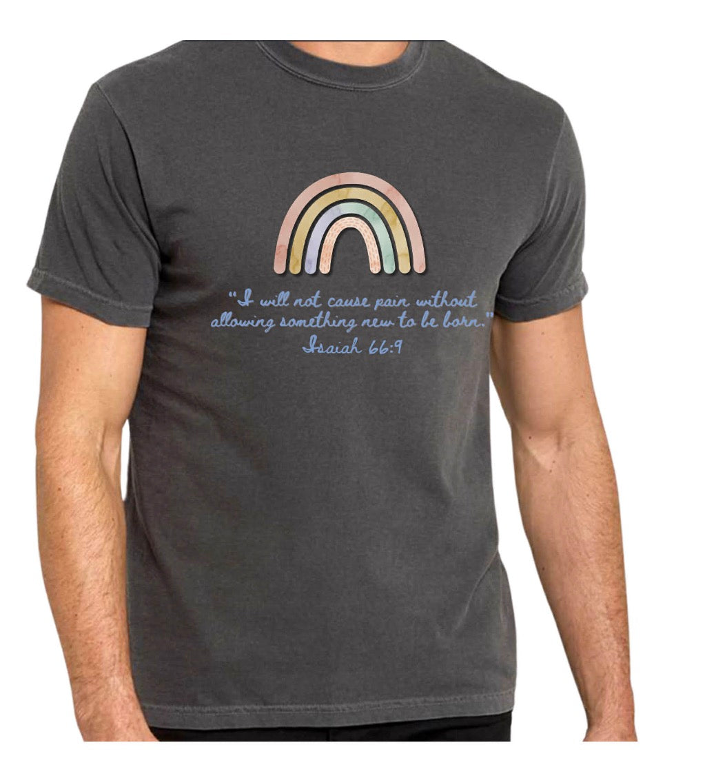Faithful Skies - Adult Tee